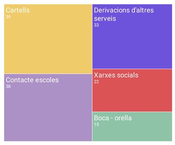 Gràfic 13 - Canals de difusió de les activitats a Roquetes (2018)